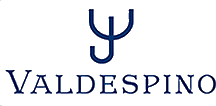 Logo Valdespino