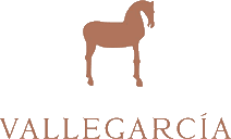 Logo Valle Garcia