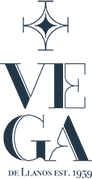 Logo Valle Garcia